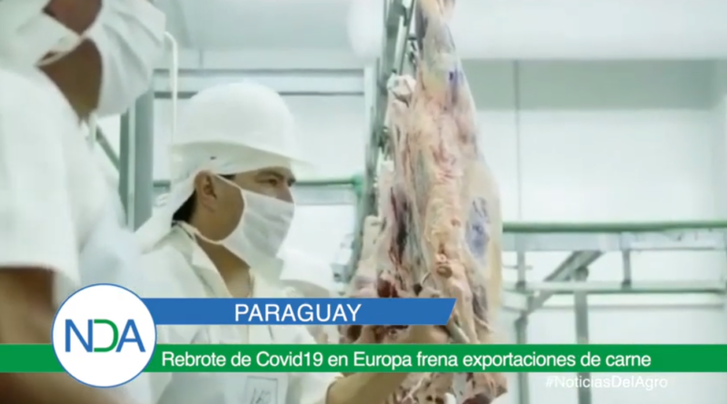 rebrote covid 19 frena exportaciones de carne