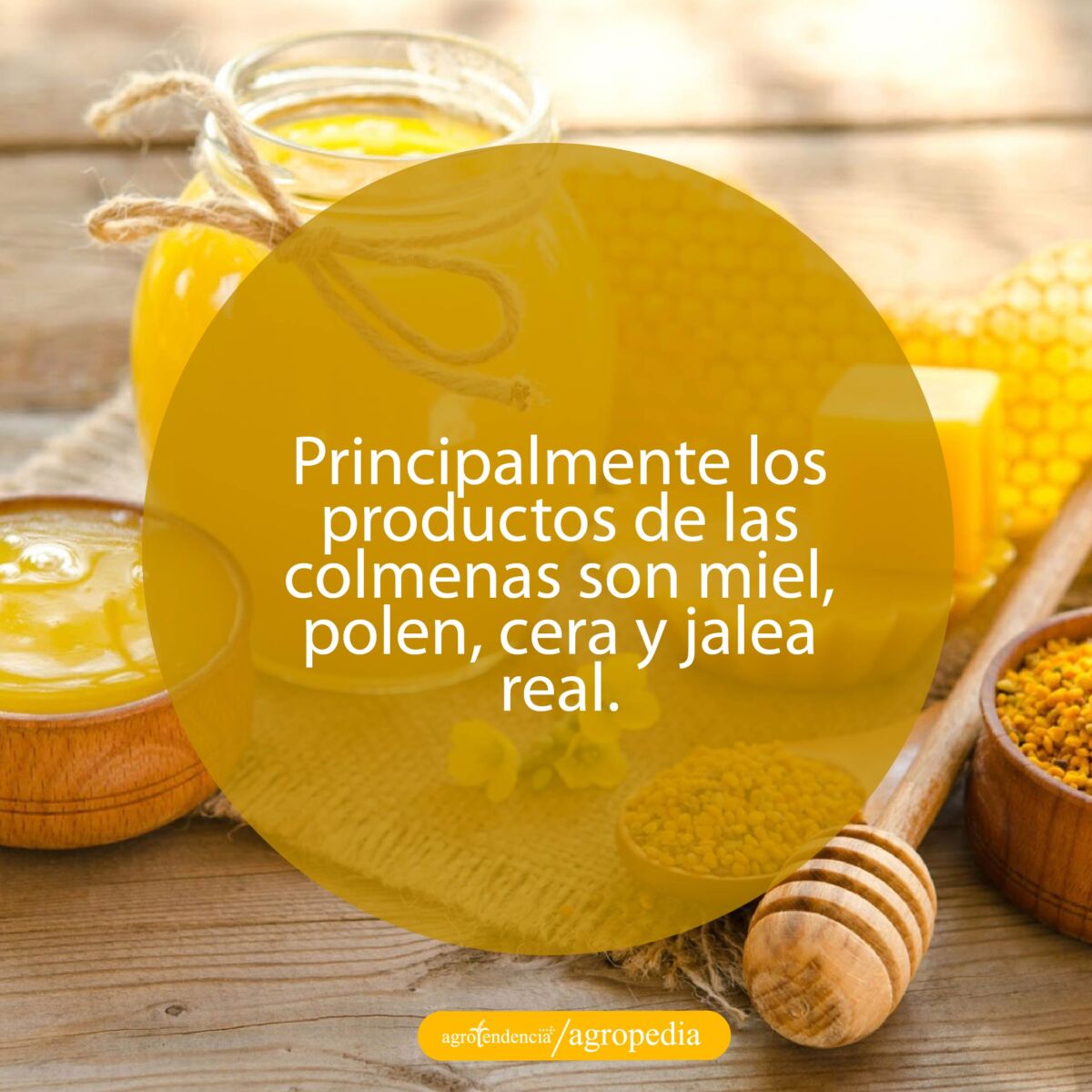 miel de abeja producto de la apicultura