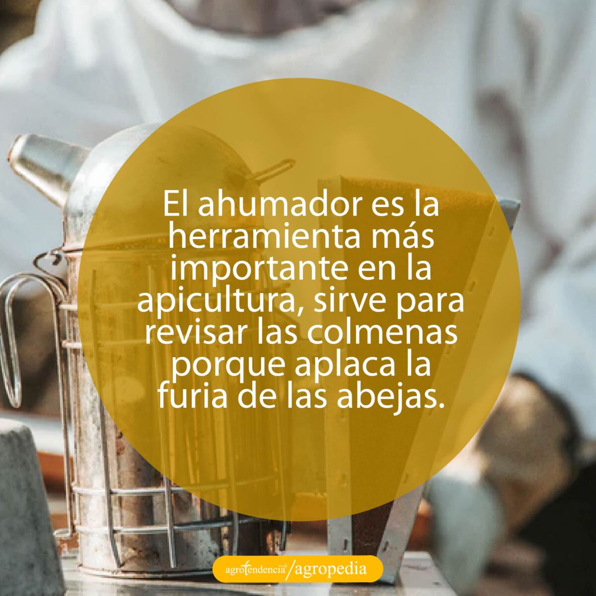 ahumador usado en la apicultura