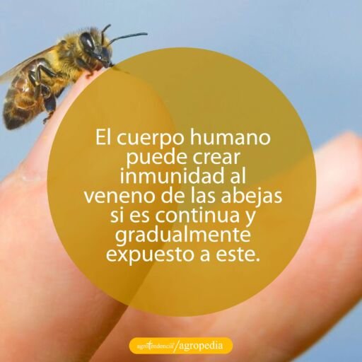 una abeja en un dedo
