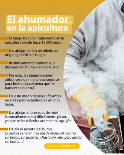 persona con ahumador en la apicultura