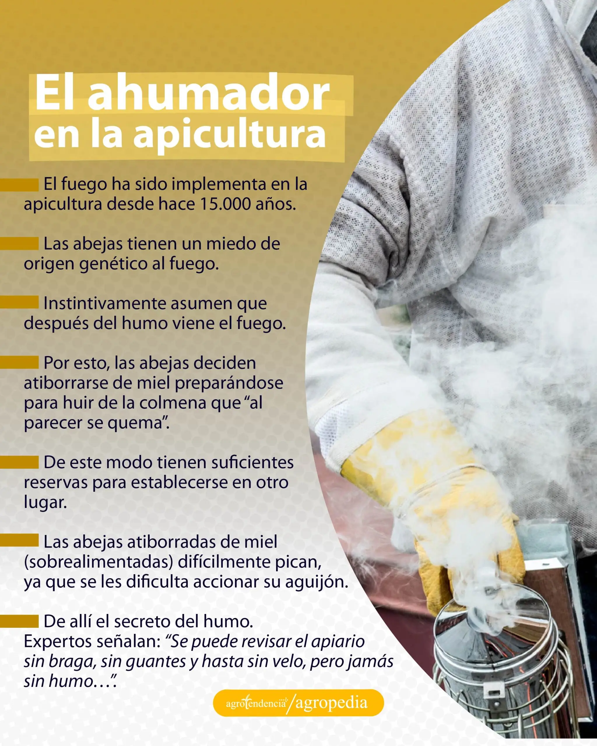 persona con ahumador en la apicultura