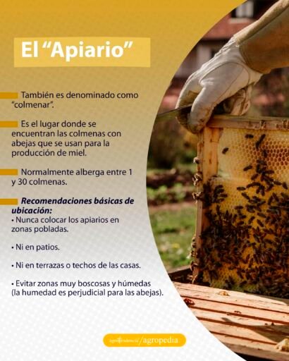 persona sacando panal de apiario
