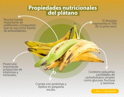 plátanos amarillos y verdes