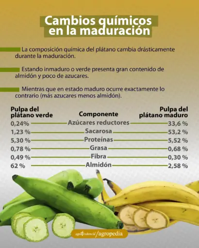 plátanos enteros y troceados