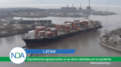 En Latinoamérica exportaciones agropecuarias no se vieron afectadas por la pandemia