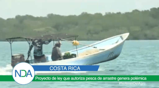 Posible reactivación de la pesca de arrastre en Costa Rica genera debate