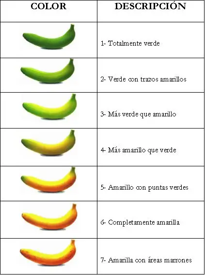madurez del platano por color