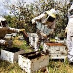 apicultura - overol apicultura