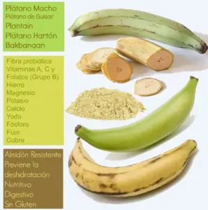cultivo de platano - manejo integrado del cultivo de platano