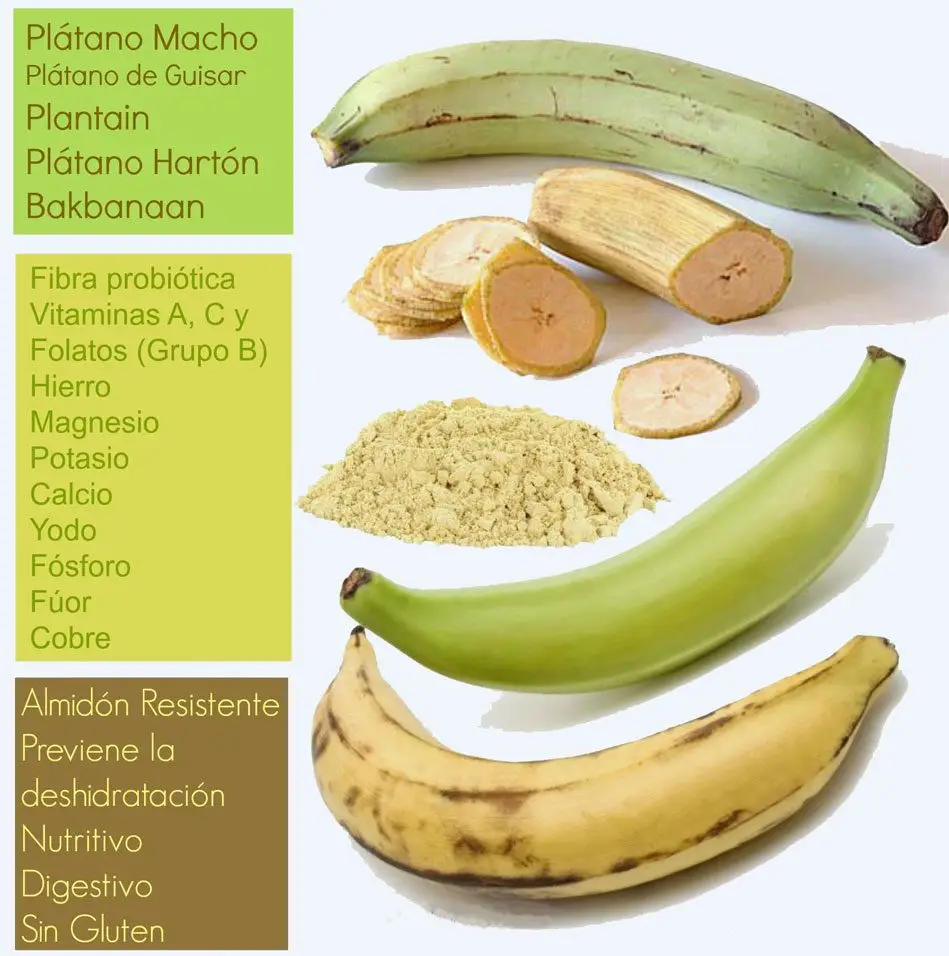 Plantain