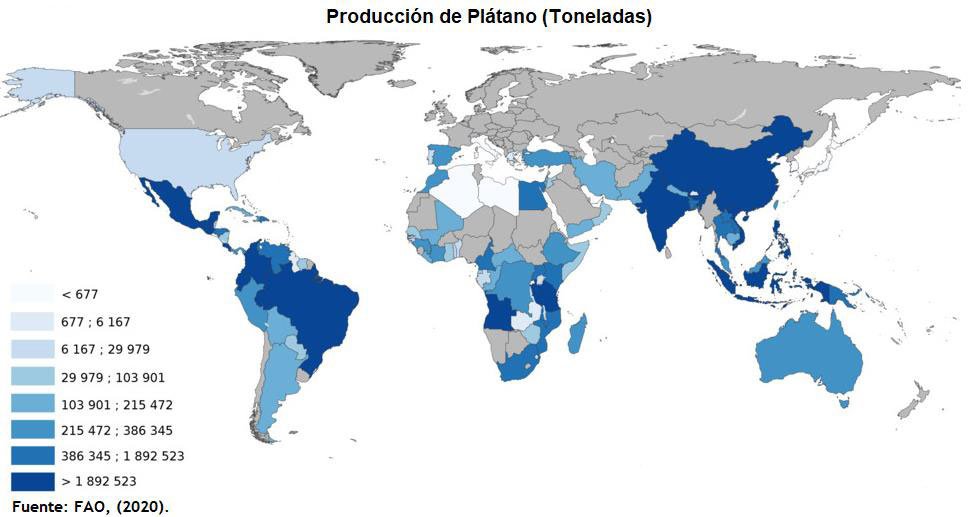 producción de plátano en el mundo