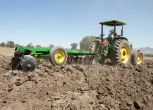 cultivo de platano - cultivo de platano tecnificado
