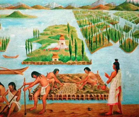 historia del plátano