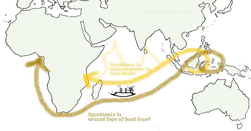 dibujo de mapa mundial indicando origen del plátano
