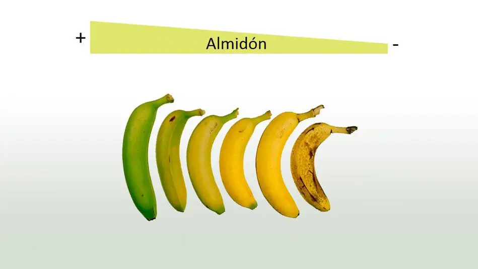 composicion quimica del plátano