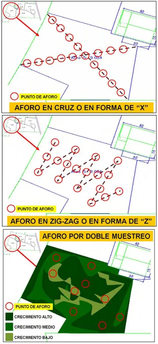 muestreo de pastos y forraje