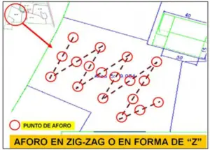 pastos y forrajes - manejo de pastos y forrajes