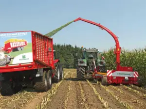 pastos y forrajes - producción de pastos y forrajes
