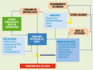 pastos y forrajes - valor nutricional de pastos y forrajes