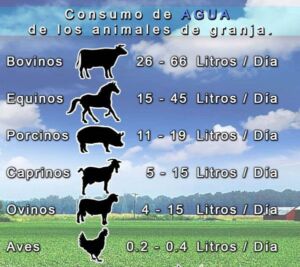 pastos y forrajes - consumo de agua