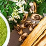 cultivo de moringa - propiedades de la moringa