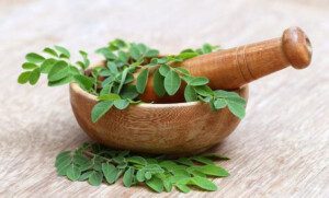 cultivo de moringa - propiedades de la moringa