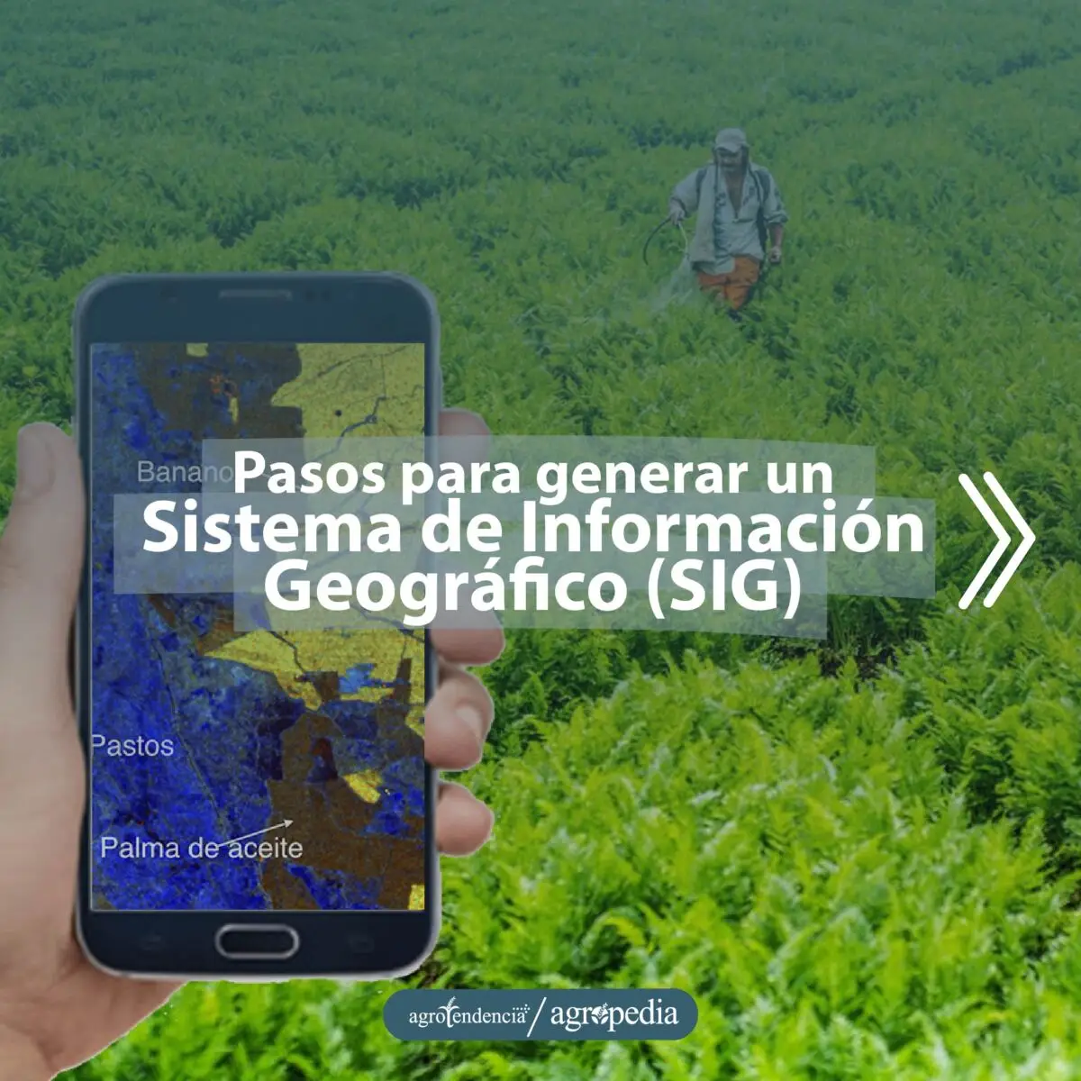celular evaluando proceso de fertilización manual de un cultivo a partir de los SIG
