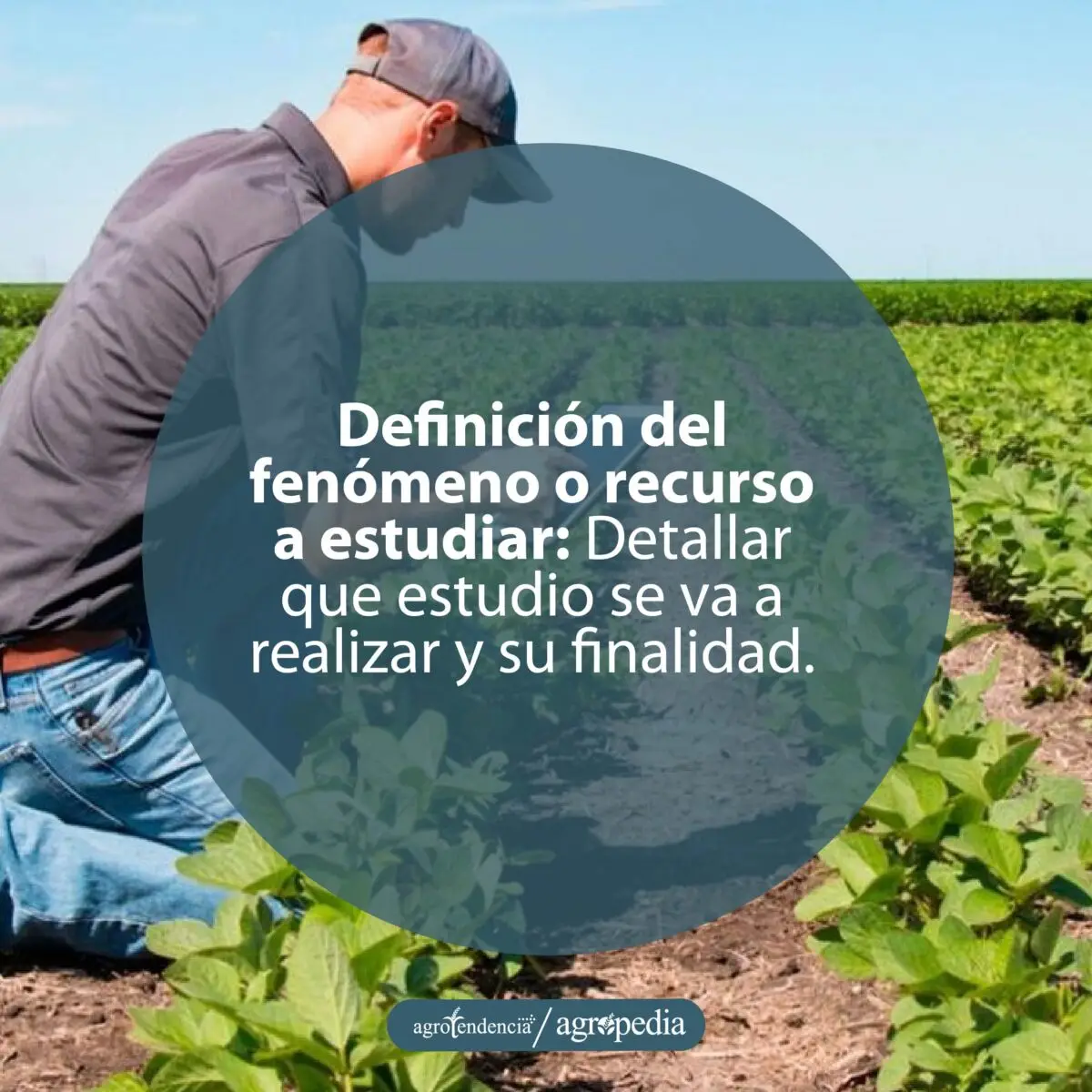 hombre evaluando un cultivo como seguimiento de los SIG