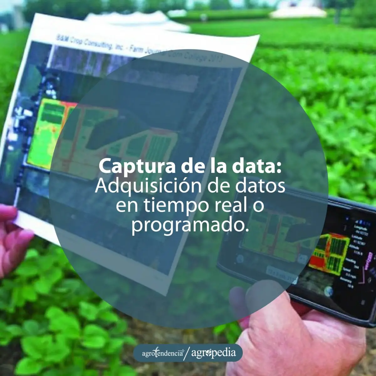 persona revisando imagen impresa y digital generadas por los SIG