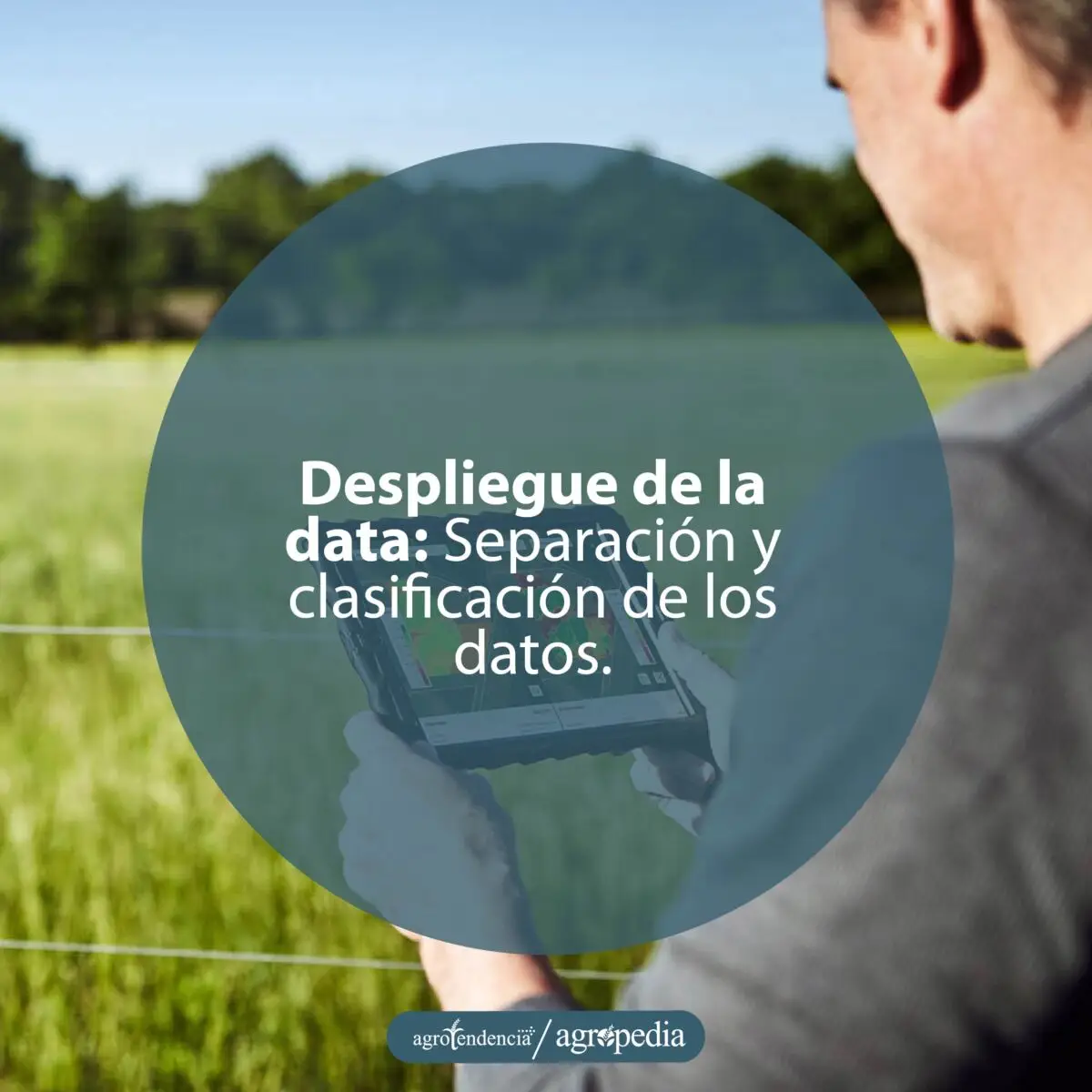 hombre revisando en una table información de los SIG para toma de decisiones en cultivo