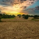 suelos agrícolas - texturas de suelos agrícolas