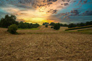 suelos agrícolas - texturas de suelos agrícolas