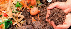 suelos agrícolas - características de los suelos agrícolas