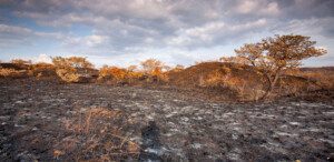 suelos agrícolas - técnicas de conservación de suelos