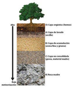 suelos agrícolas - texturas de suelos agrícolas