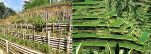 suelos agrícolas - técnicas de conservación de suelos