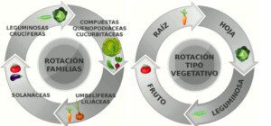 suelos agrícolas - rotación de suelos