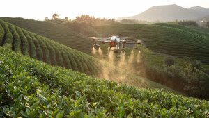 suelos agrícolas - estudio de suelos agrícolas
