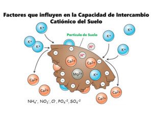 suelos agrícolas - texturas de suelos agrícolas