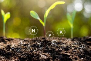 suelos agrícolas - materia orgánica en suelos agrícolas