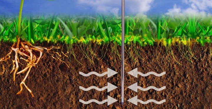 perfil de suelo con vista de raíces de planta y de césped
