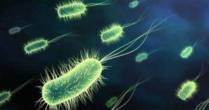 biofertilizantes organicos - biofertilizantes en agricultura