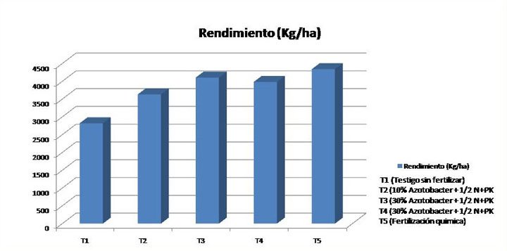 gráfico de rendimiento usando biofertilizantes con azotobacter