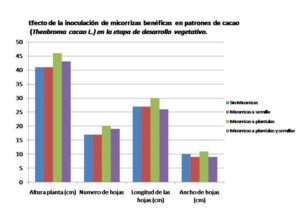 biofertilizantes organicos - biofertilizantes en agricultura