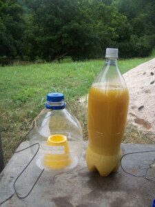 moscas de la fruta - trampas para la mosca de la fruta