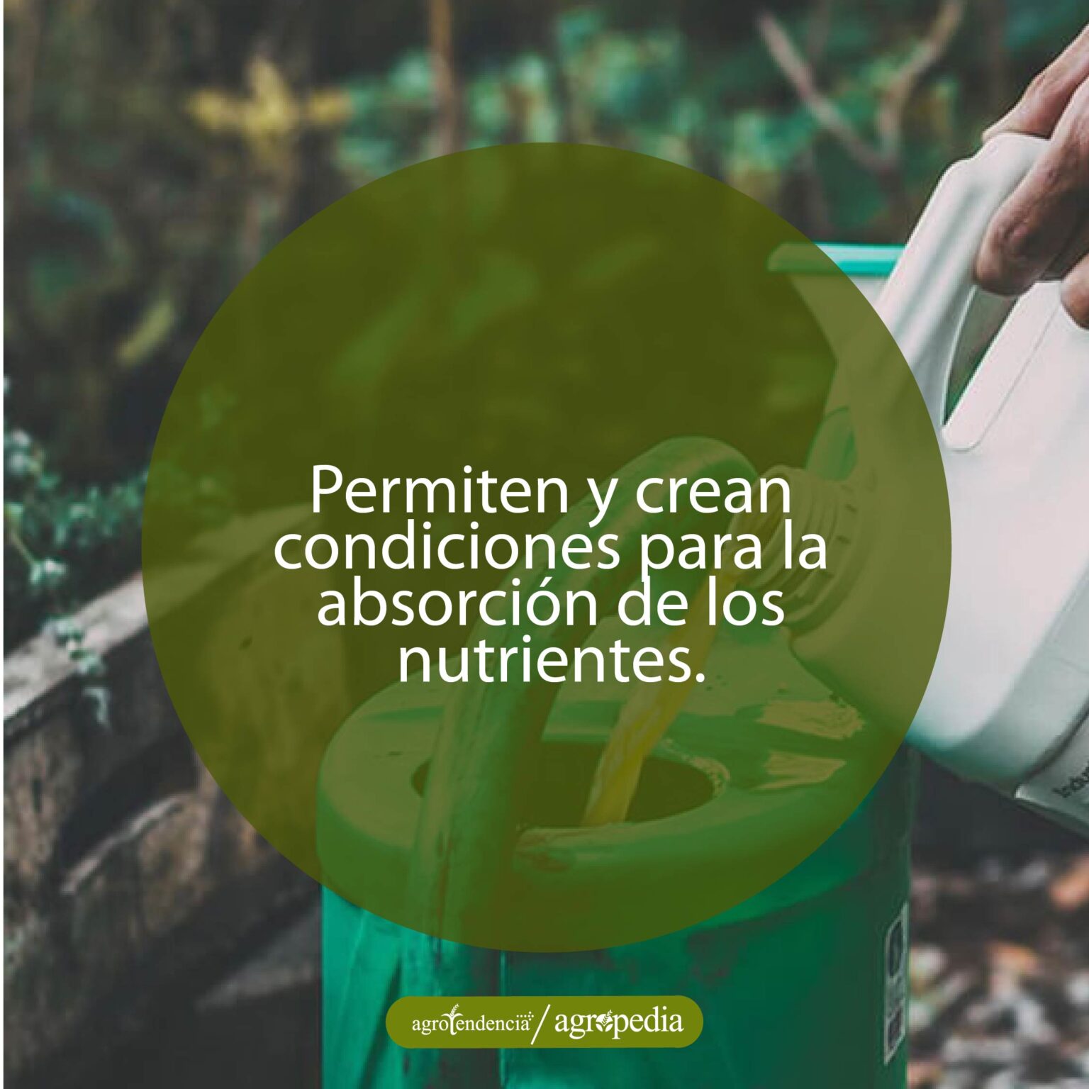 Biofertilizantes – Conoce Qué Son, Sus Tipos Y Aplicación