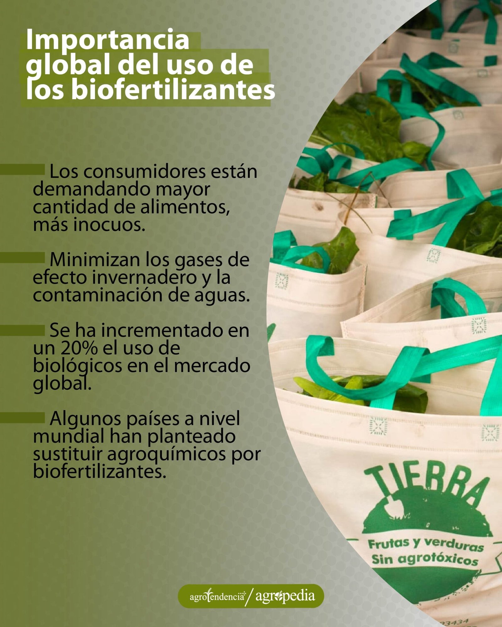 bolsas con plantas biofertilizadas