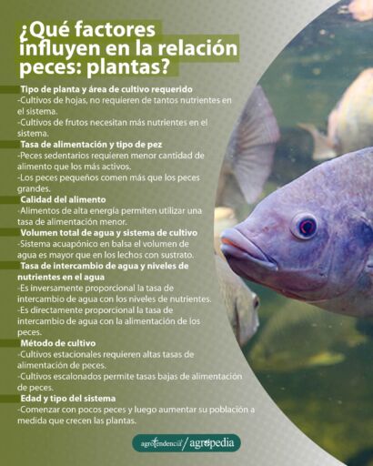 factores que influyen en la relación peces plantas