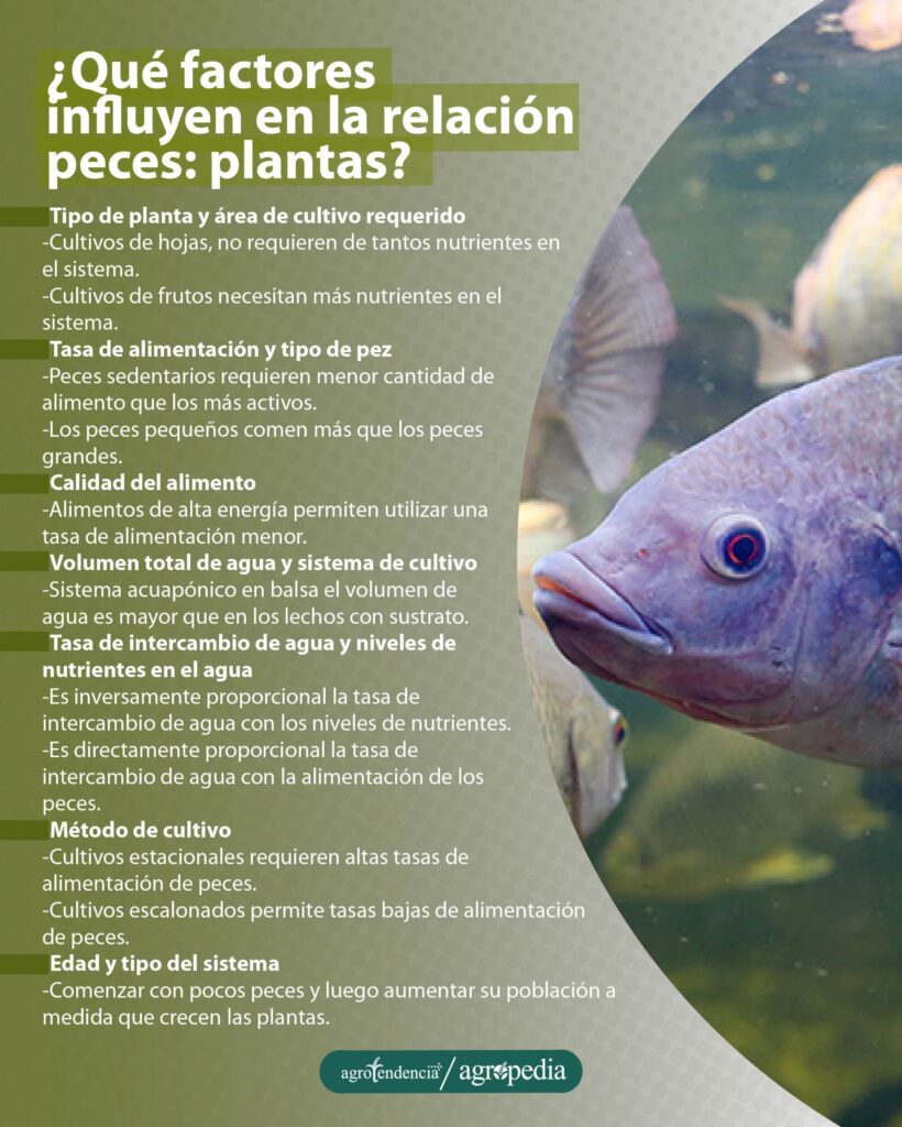 factores que influyen en la relación peces plantas